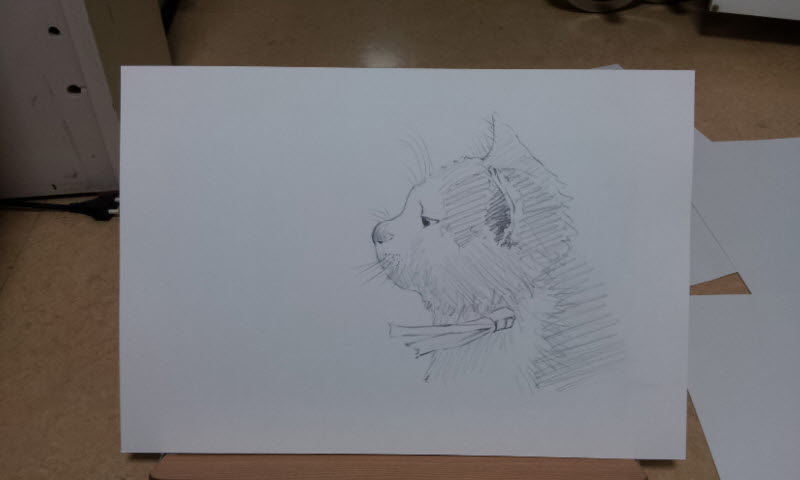 20120907_224745.jpg : 고양이 4장