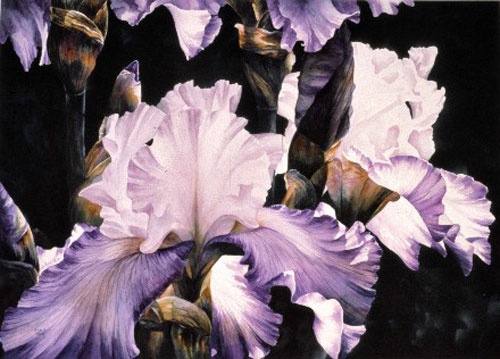 Titled "Flirtation - Irises"  by Arleta Pech